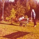 Tämänkin kuvan lähetti Sirpa Siira.
