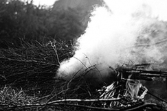 Kuva: Risut palavat. 