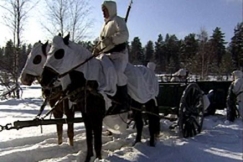 Kuva: Suomenhevoset lumipuvussa. Kuva: YLE kuvanauha