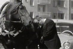 Kuva: Suomenhevonen, mies ja auto. Kuva: YLE kuvanauha