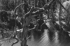 Kuva: Kuusamon karu luonto on aina kiehtonut matkailijoita. YLE kuvanauha.