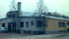 Kuva: Lepakko, YLE bildband 1981