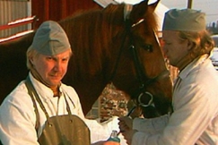 Kuva: Mutapainin yst�v�t. YLE kuvanauha.