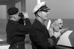 Kuva: Tornator-laivan matkassa. YLE kuvanauha.