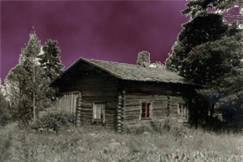 Kuva: Hirsinen m�kki. Kuvaaja: Arja Lento. Yle kuvapalvelu Muokkaus: Emilia Kemmpi