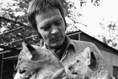 Kuva: Ilkka Koivisto 1970-luvulla. Kuvaaja: Antero Tenhunen. Yle kuvapalvelu