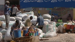 Kuva: Aino Tanhua 2010