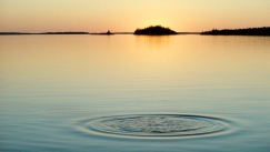 Kuva: Renkaita veden pinnassa (1977) Erkki Suonio