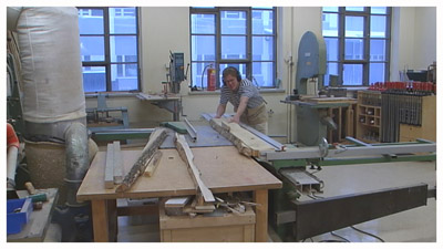 tukipuiden sahaus (copyright YLE/videokuvaa)