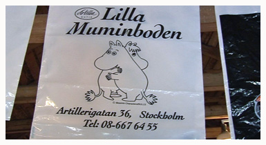 muumikassi (copyright YLE/videokuvaa)