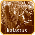 kalastus