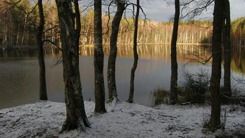 Aurinko valaisee Sorvasenlammen rantaa.