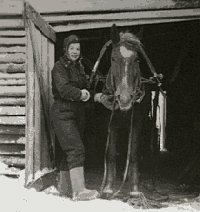 Naisten savotta