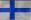 in finnish