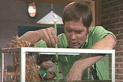 Kuva: Akvaarioon pannaan hiekkaa ja kasveja. YLE kuvanauha.