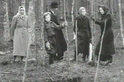 Kuva: Suo, josta Kyllikki Saaren ruumis l�ydettiin.