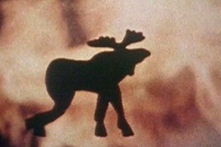 Kuva: Hirvi juoksee mets�palon keskell�. YLE kuvanauha. 