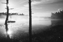 Kuva: (1996)
Pentti Kallinen