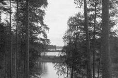 Kuva: (1950-luku)
Kalle Kultala