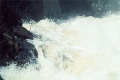 Kuva: Kosken kuohuja. YLE, TV2.