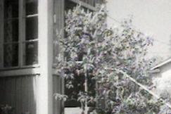 Kuva: Kuisti K�pyl�ss�. YLE kuvanauha.