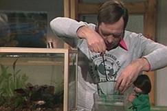 Kuva: Ilkka Koivisto nostaa kaloja haavilla. YLe kuvanuha. 