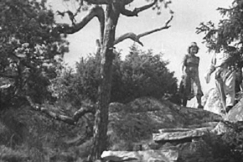 Kuva: Kolin maisemissa. (1943) YLE kuvanauha.