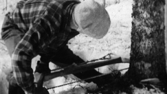 Kuva: Puun kaatokolo on syyt� tehd� oikein. YLE kuvanauha.