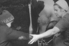 Kuva: Aino Pekkasen ty�p�iv� alkaa klo 6 aamulla. (1971) YLE kuvanauha.