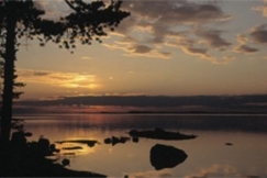 Kuva: Pielinen kes�ll�. Kuvaaja Pentti Kallinen.