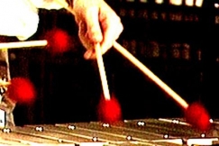 Kuva: Severi Pyysalon vibrafonikapulat. (1985) YLE kuvanauha.