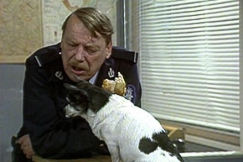 Kuva: Reinikainen puhuu koiralle. YLE kuvanauha. 