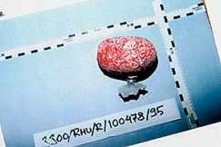 Kuva: Kuva huumepussista. YLE kuvanauha. 