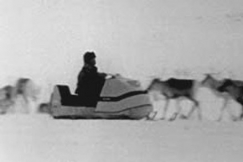 Kuva: Poromies paimentaa tokkaa moottorikelkalla. (1974) YLE kuvanauha.