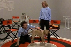 Kuva: Kasma-koira studiossa. YLE kuvanauha.