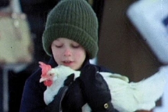 Kuva: Einari (Kristian Laiho) kantaa syliss��n kanaa (1979). YLE kuvanauha.