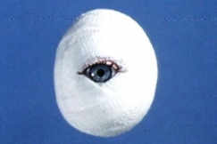 Kuva: Siteisiin k��ritty kananmuna, jossa on silm�. YLE kuvanauha.