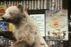 Kuva: Koristekarhu ja Sodankyl�n elokuvajuhlien juliste (1987). YLE kuvanauha.