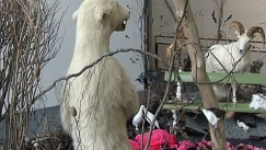 Kuva: Osa Gerda Steinerin ja J�rg Lenzlingerin Joutsenlampi-teoksesta. Kuva: YLE kuvanauha