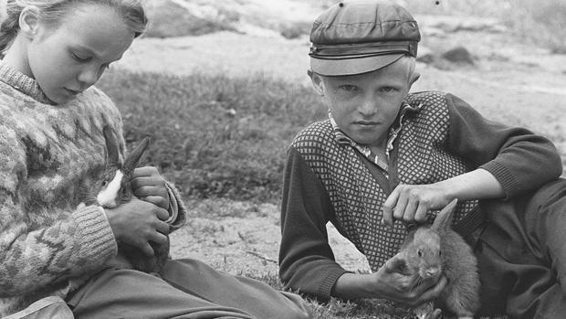 Tukkapöllyä vai järkipuhetta? Kuva: Kalle Kultala, 1960-luku