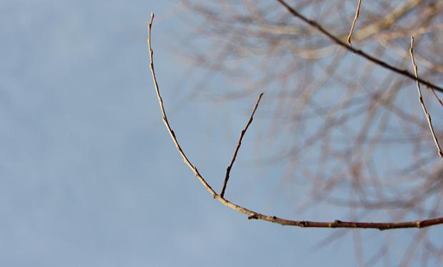 Alkuvuoden upein keskiviikkoaamu. Kuva: Ada Pykäläniemi