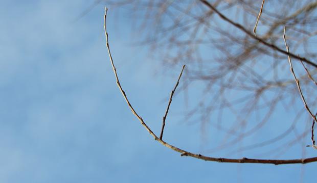 Kurotus kohti valoa. Kuva: Ada Pykäläniemi