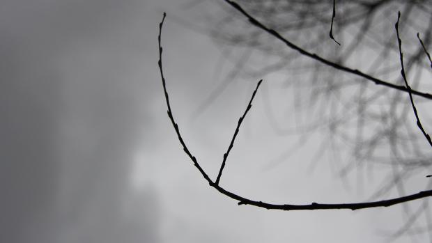 Luonnollista mustavalkeutta. Kuva: Ada Pykäläniemi