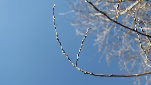 Ohikiitävä hetki. Kuva: Ada Pykäläniemi