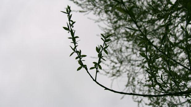 Pian salamoi ja jyrisee. Kuva: Ada Pykäläniemi