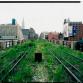 Ruohottunut rata vuonna 2000. Kuva: Joel Sternfeld © 2000