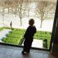 Puisto. Kuva: Ida Pimenoff