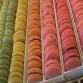 kuva: Macaron-leivoksia, Aoki, A-studio