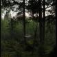 Kuva: Ritva Waris-Wörlin