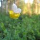 Kuva: Iiris Raitala